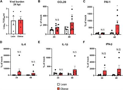 Obesity exacerbates influenza-induced respiratory disease via the arachidonic acid-p38 MAPK pathway